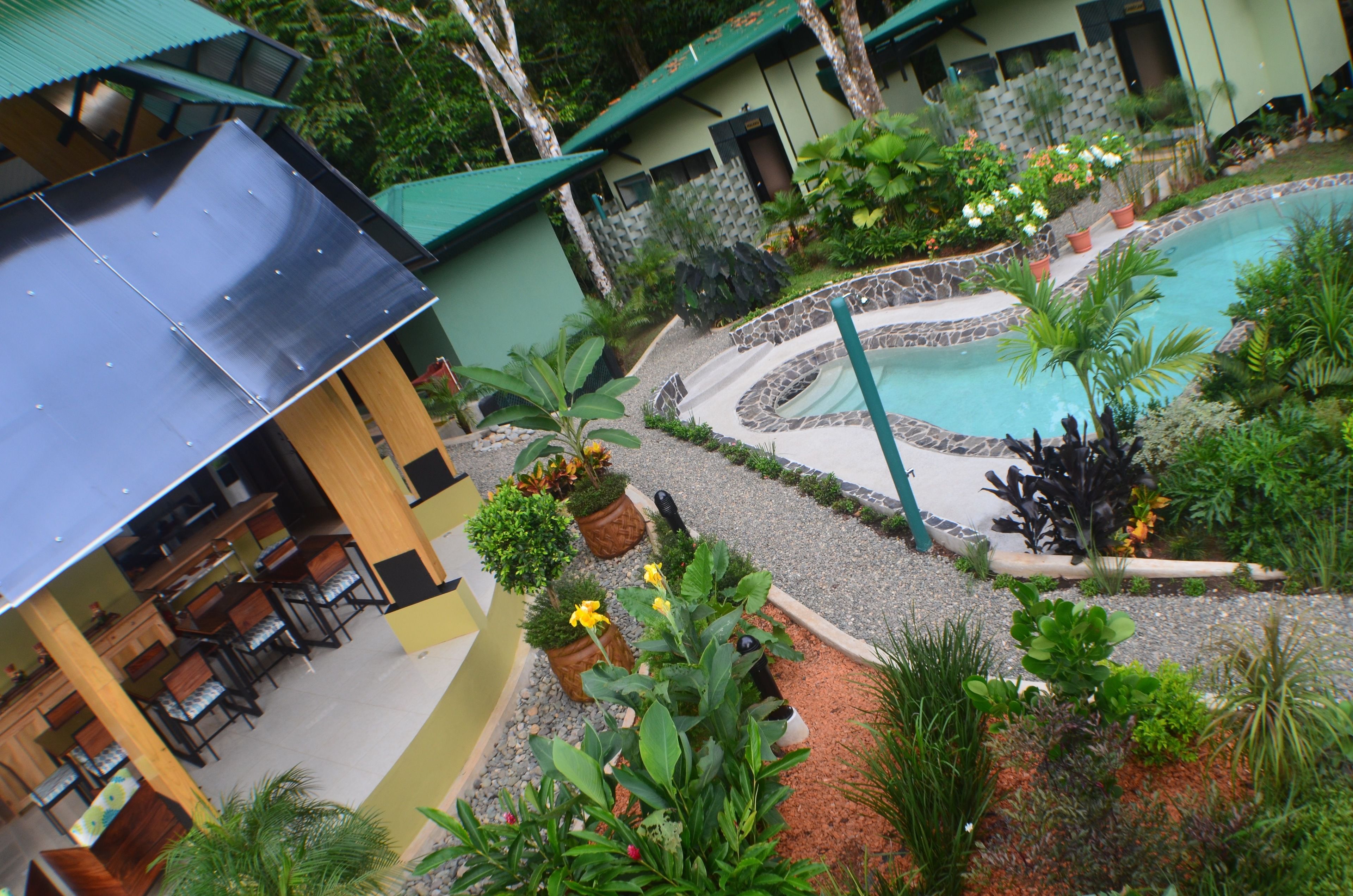 A pool area with a stone edge, surrounded by potted plants and a variety of greenery.