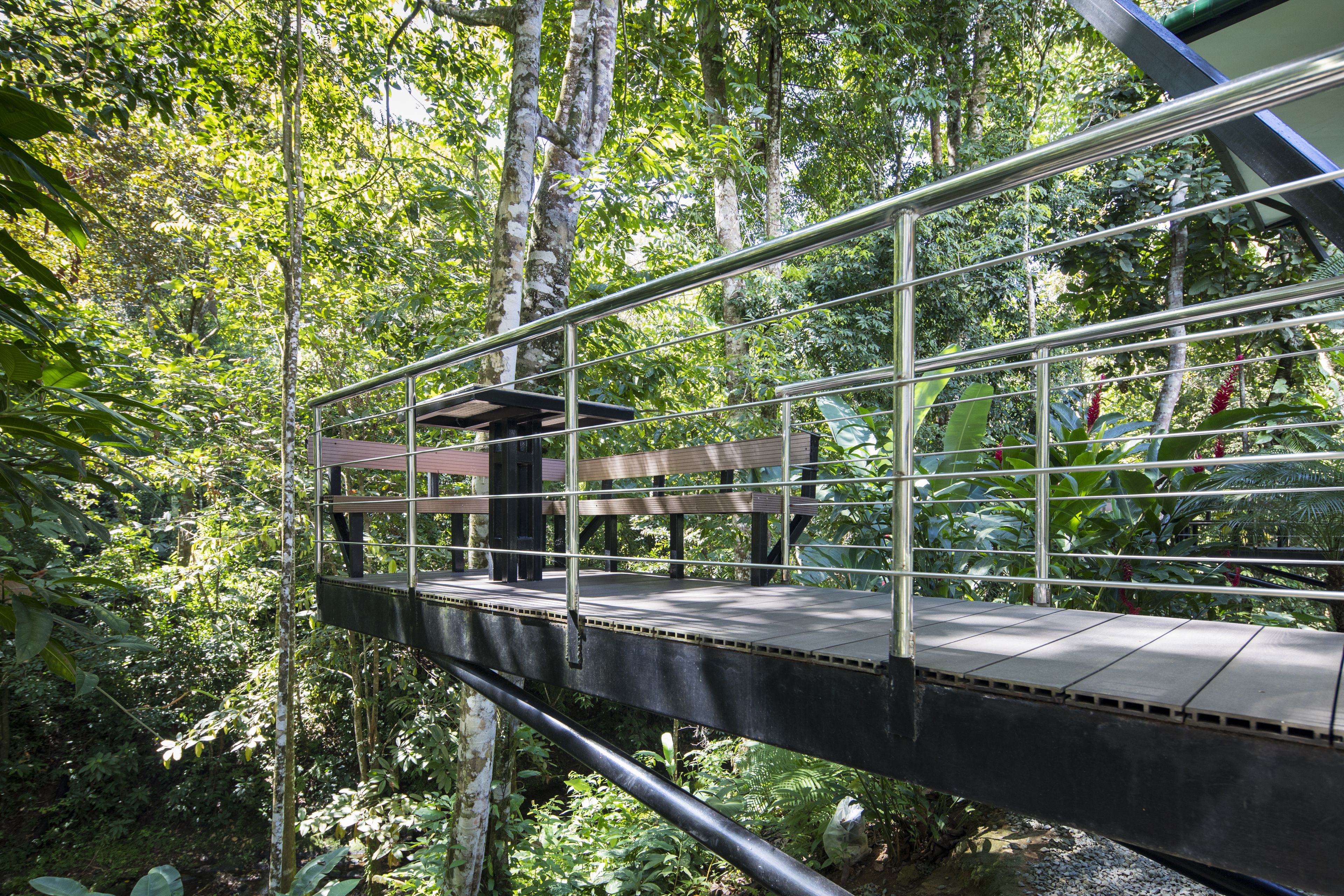 A wooden bridge with metal railings in a lush forest.