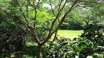 Vista desde la habitación