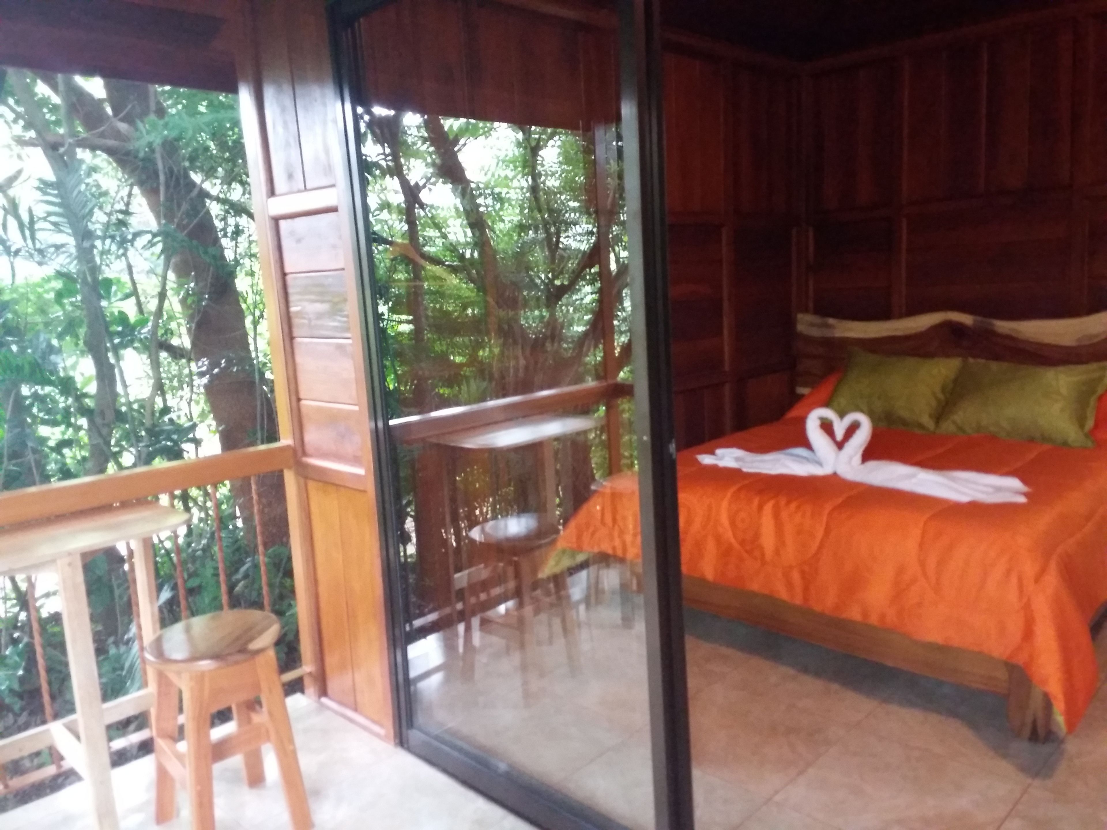 Vista desde la habitación