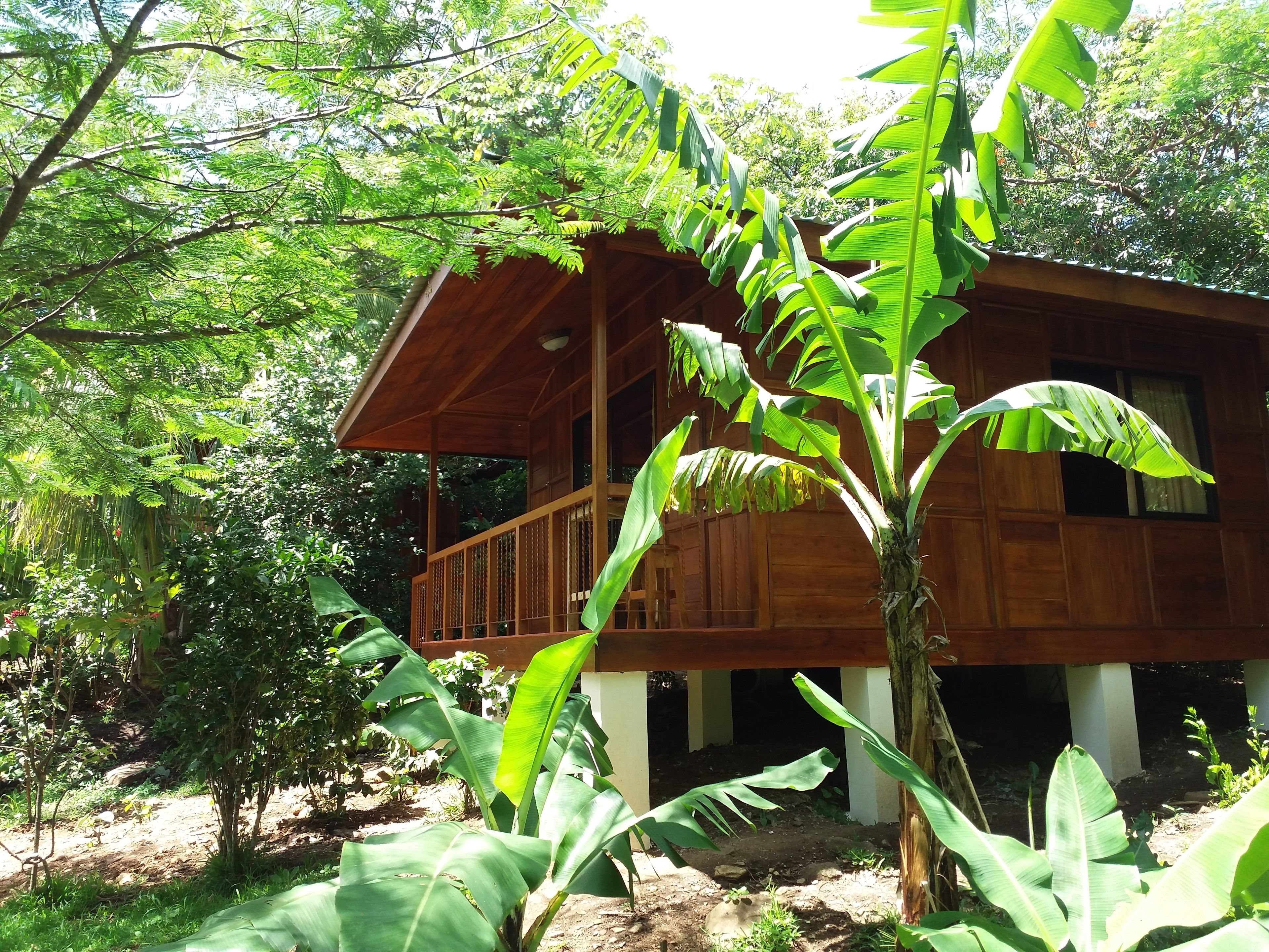 A wooden house with a balcony, surrounded by lush greenery and trees.