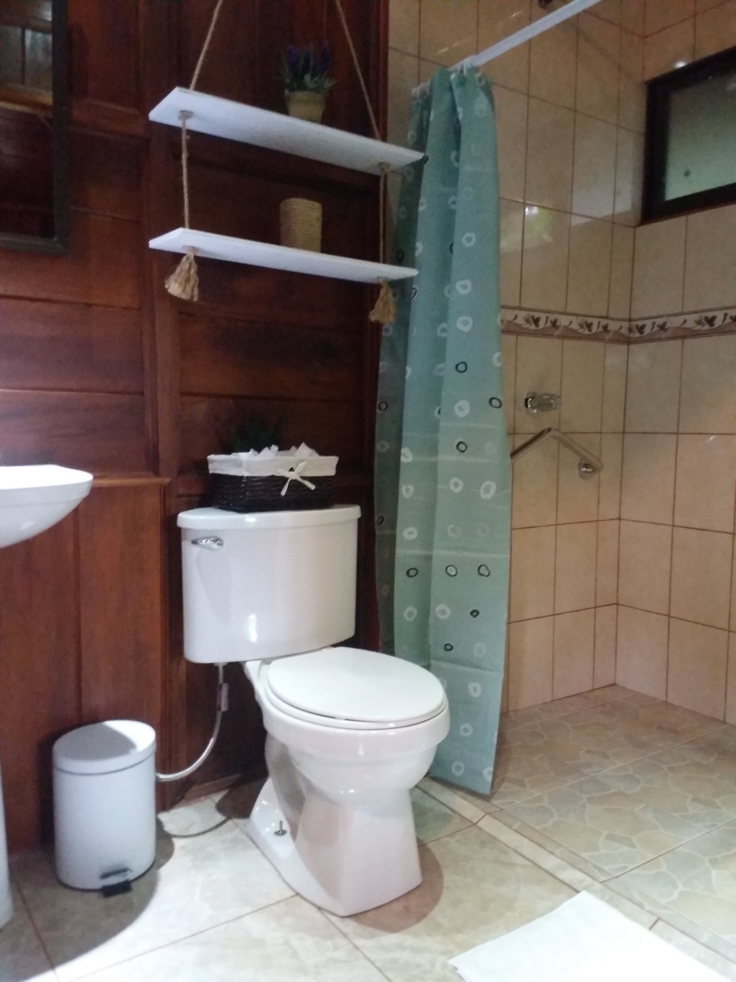 A bathroom with a toilet, a sink, a trash bin, a shower curtain, and a shelf with a plant.