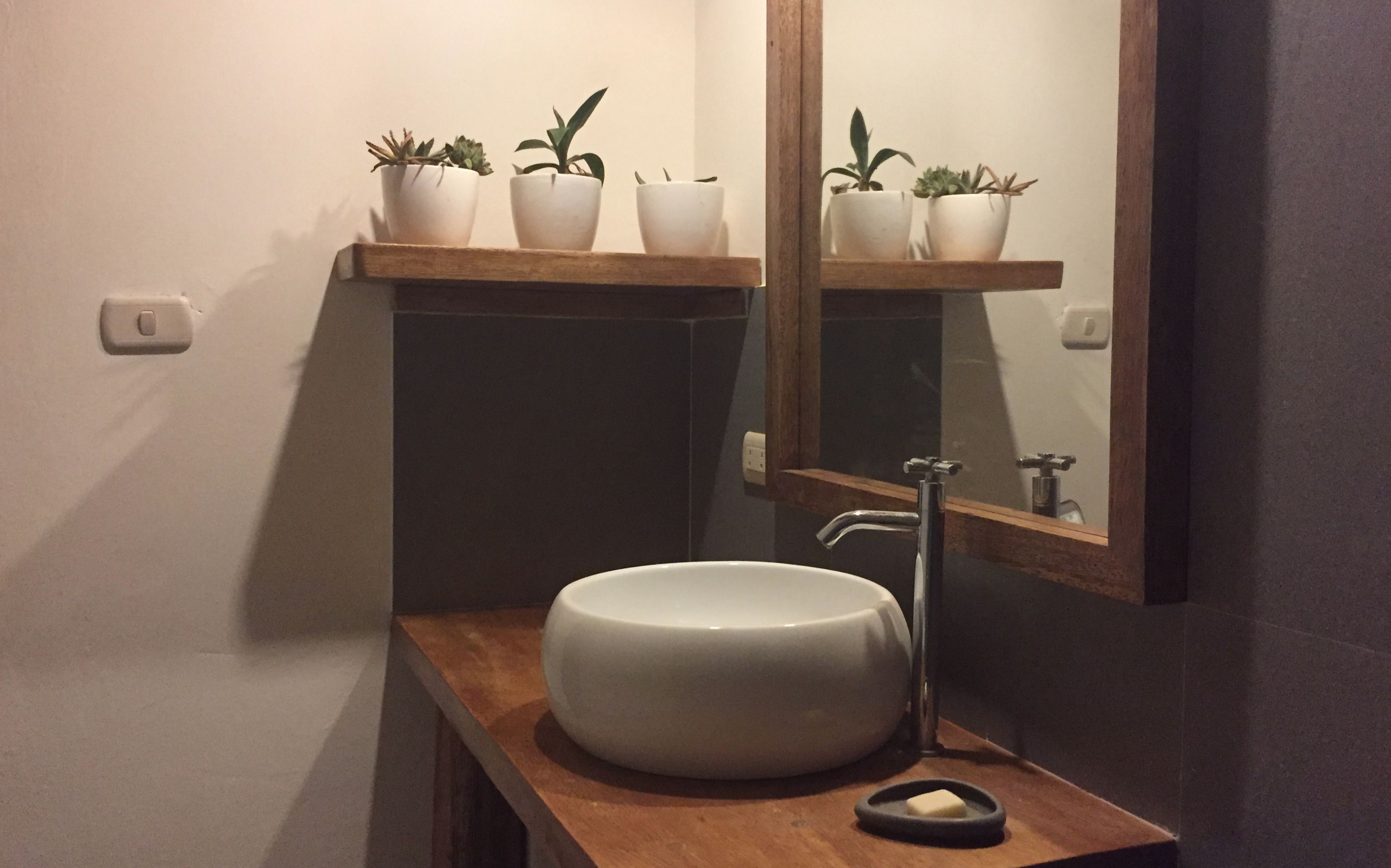 Een badkamer met een wit wastafel, een houten aanrechtblad, een spiegel en drie potten met planten op een plank boven de wastafel.