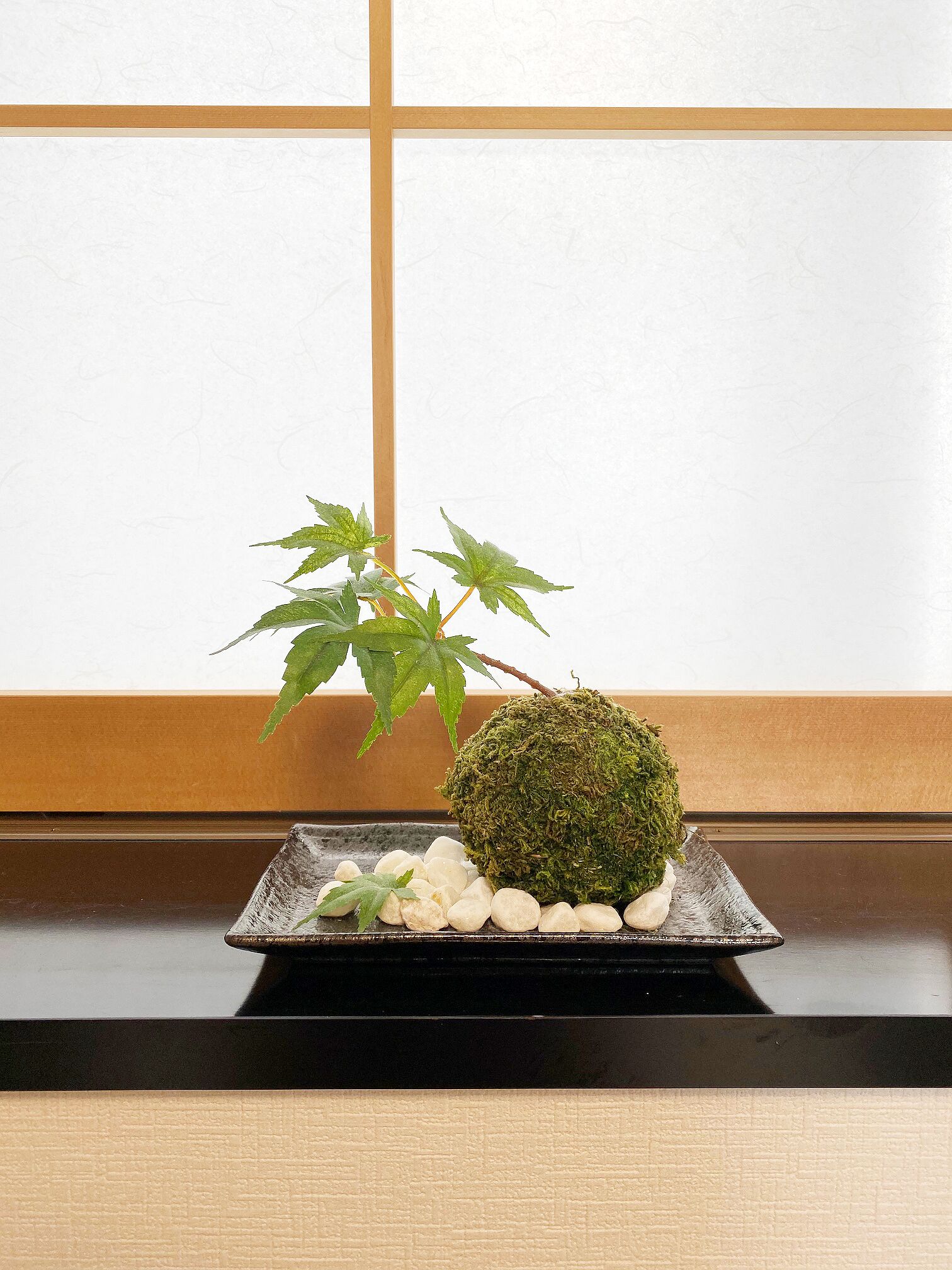 Una habitación tradicional japonesa con suelo de tatami, un biombos shoji y una mesa baja con un bonsái y una bola de musgo.