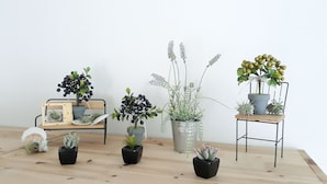 Una mesa de madera con plantas en macetas y un cuadro enmarcado.