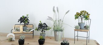 Baebae Guesthouse