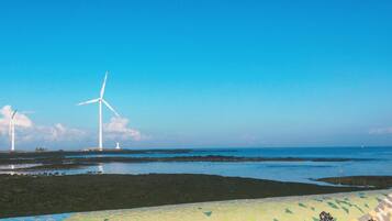 Kustgezicht met windturbines en een mozaïekpad.