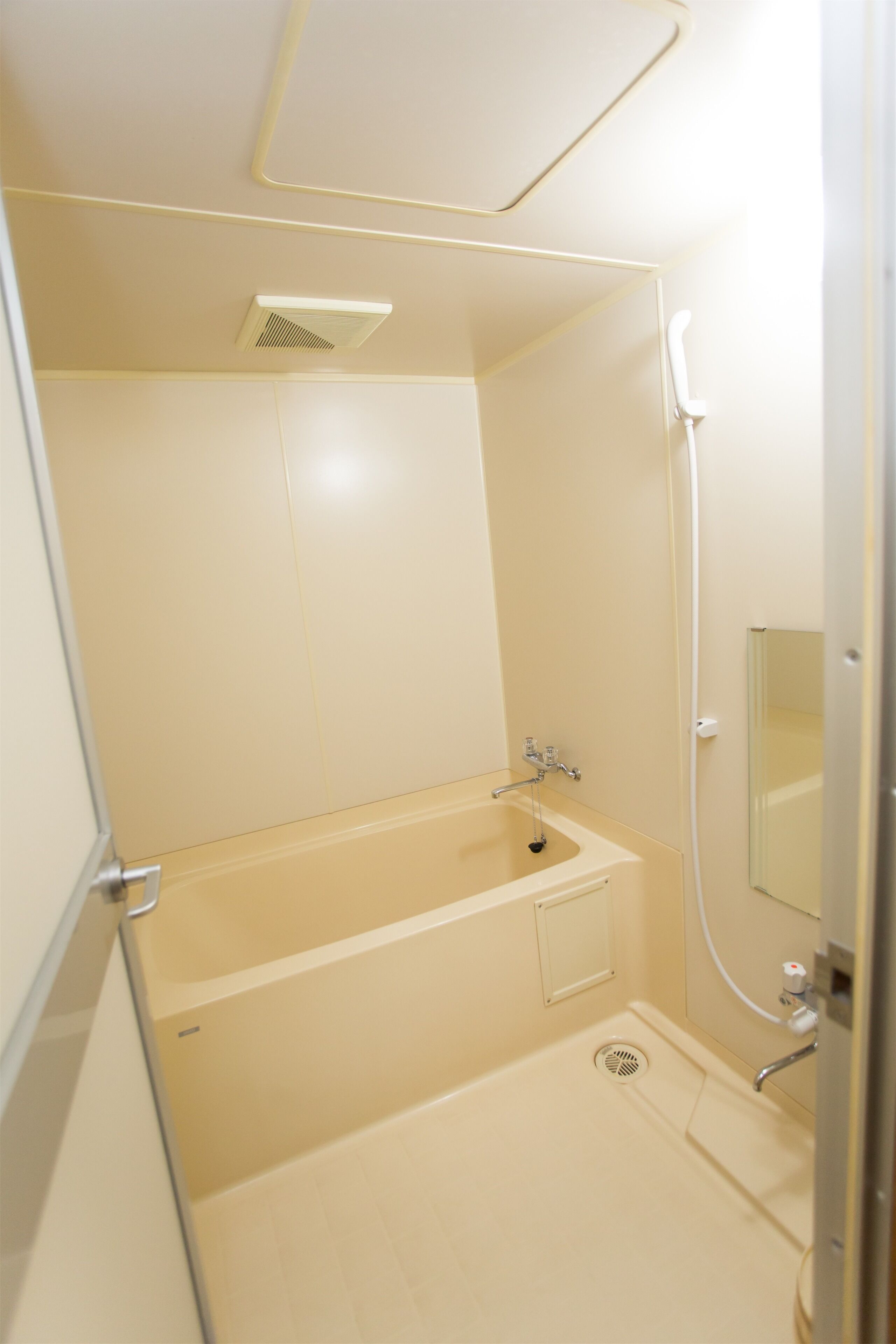 Een badkamer met een bad, wastafel, spiegel en douche.