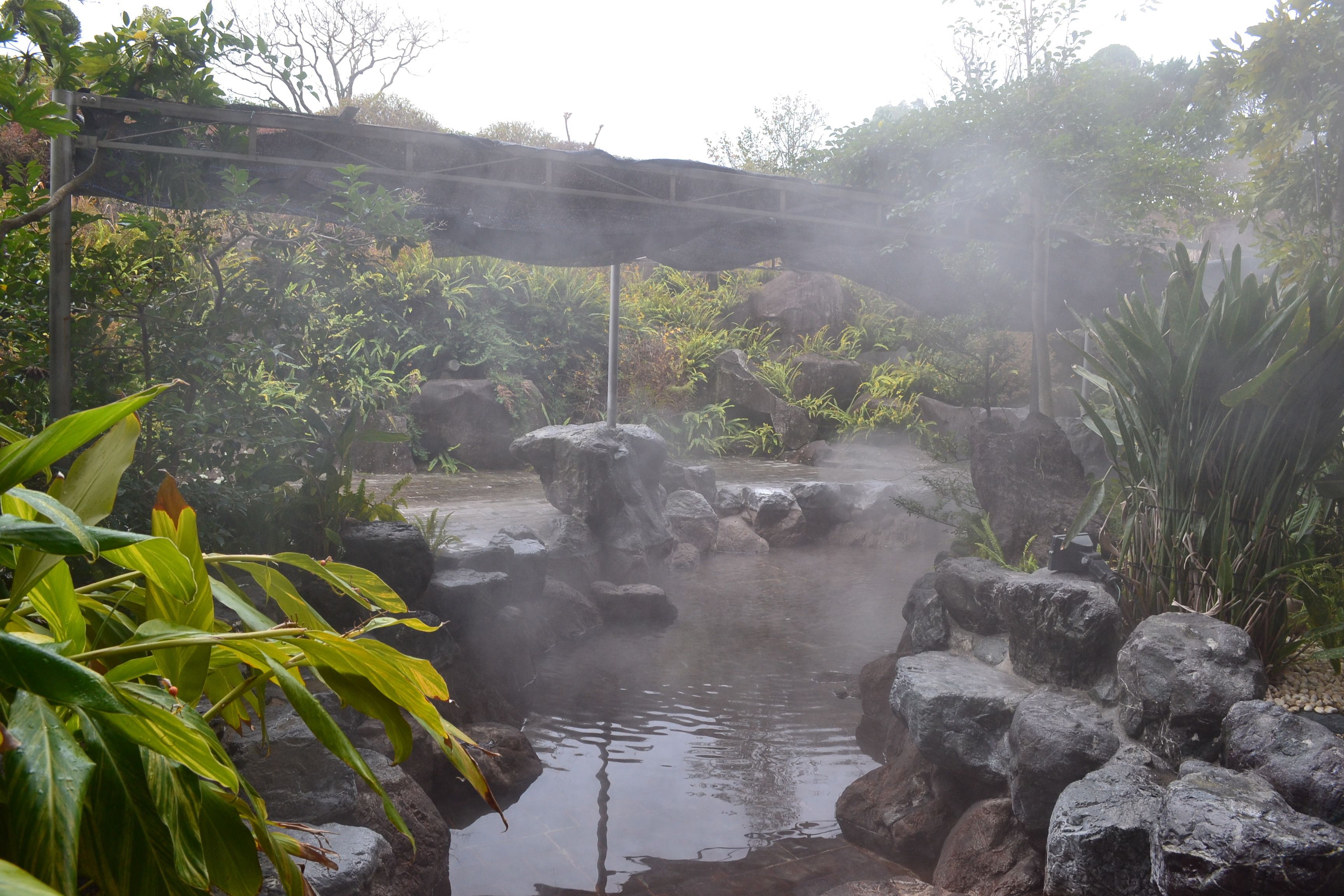 A hot spring area with rocks, steam, and lush greenery.