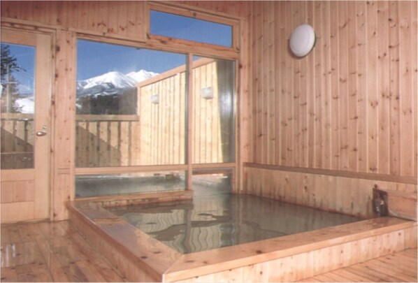 A natural pool - Hotel Gute Welle (Matsumoto)