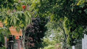 A paved pathway leading to a building with a traditional tiled roof, surrounded by lush greenery and stone walls.