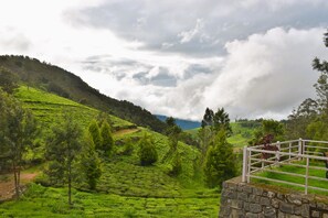 Vista del balcón