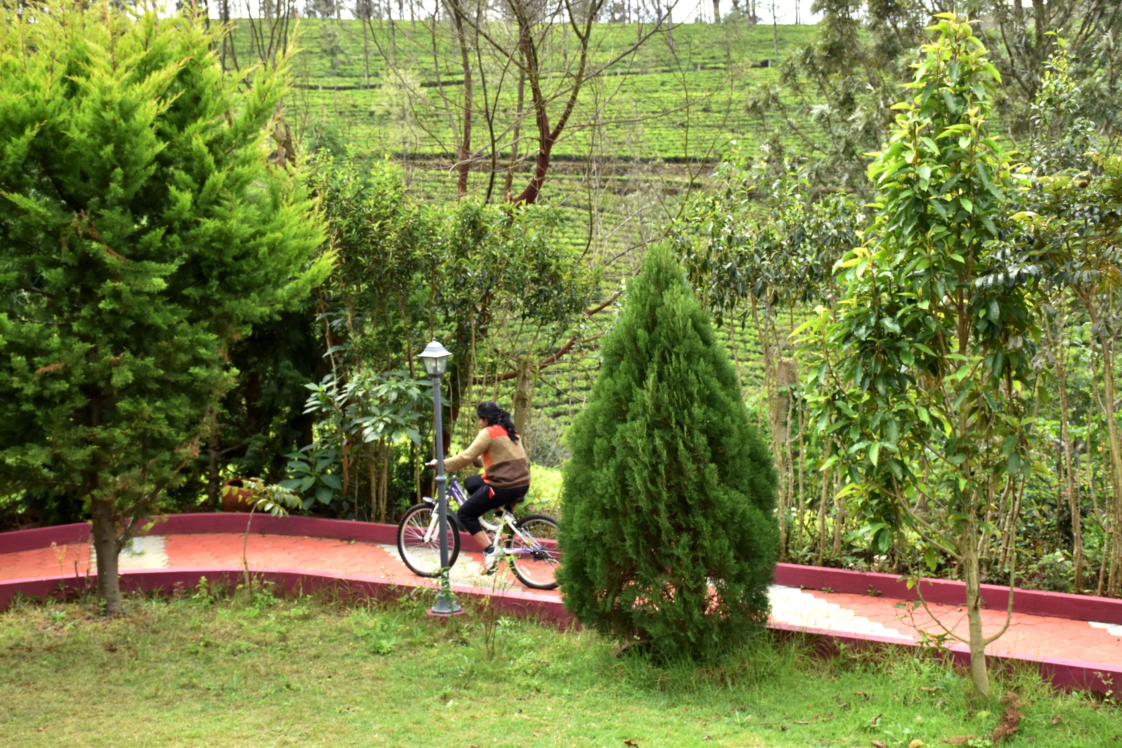 Una persona montando en bicicleta sobre un sendero rojo rodeado de vegetación.