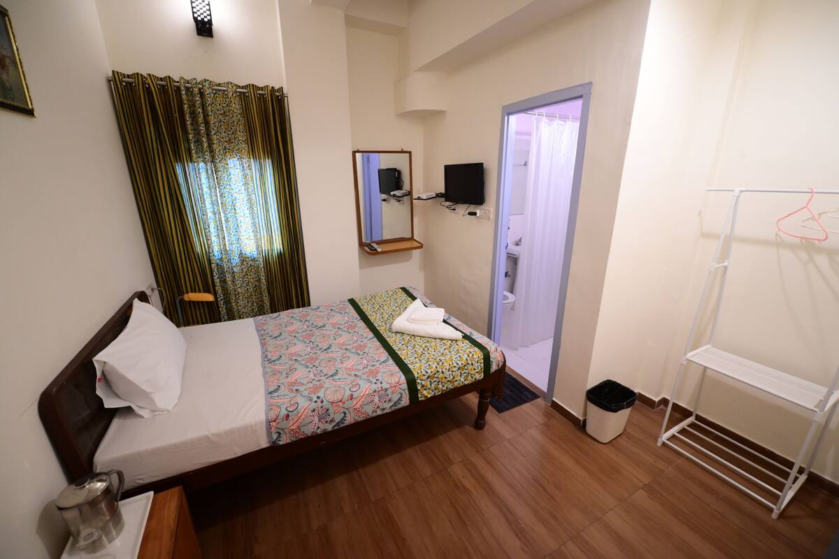 Habitación de hotel con cama, televisor, espejo, zona de ducha y tendedero.
