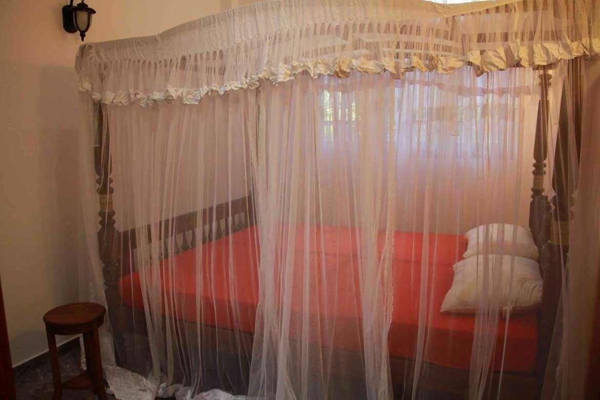 A room with a bed covered by a sheer canopy.