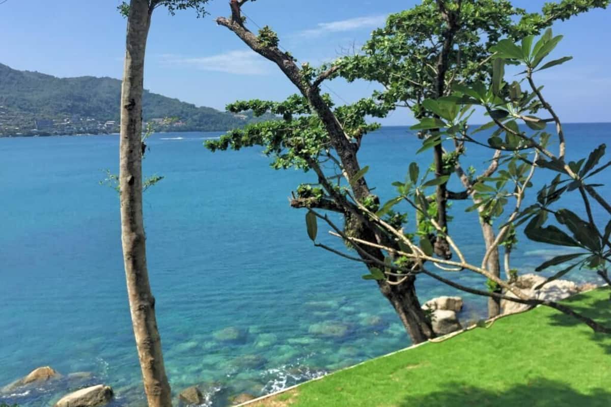Un paisaje costero con vista despejada al mar, una zona con césped y un árbol de follaje denso.