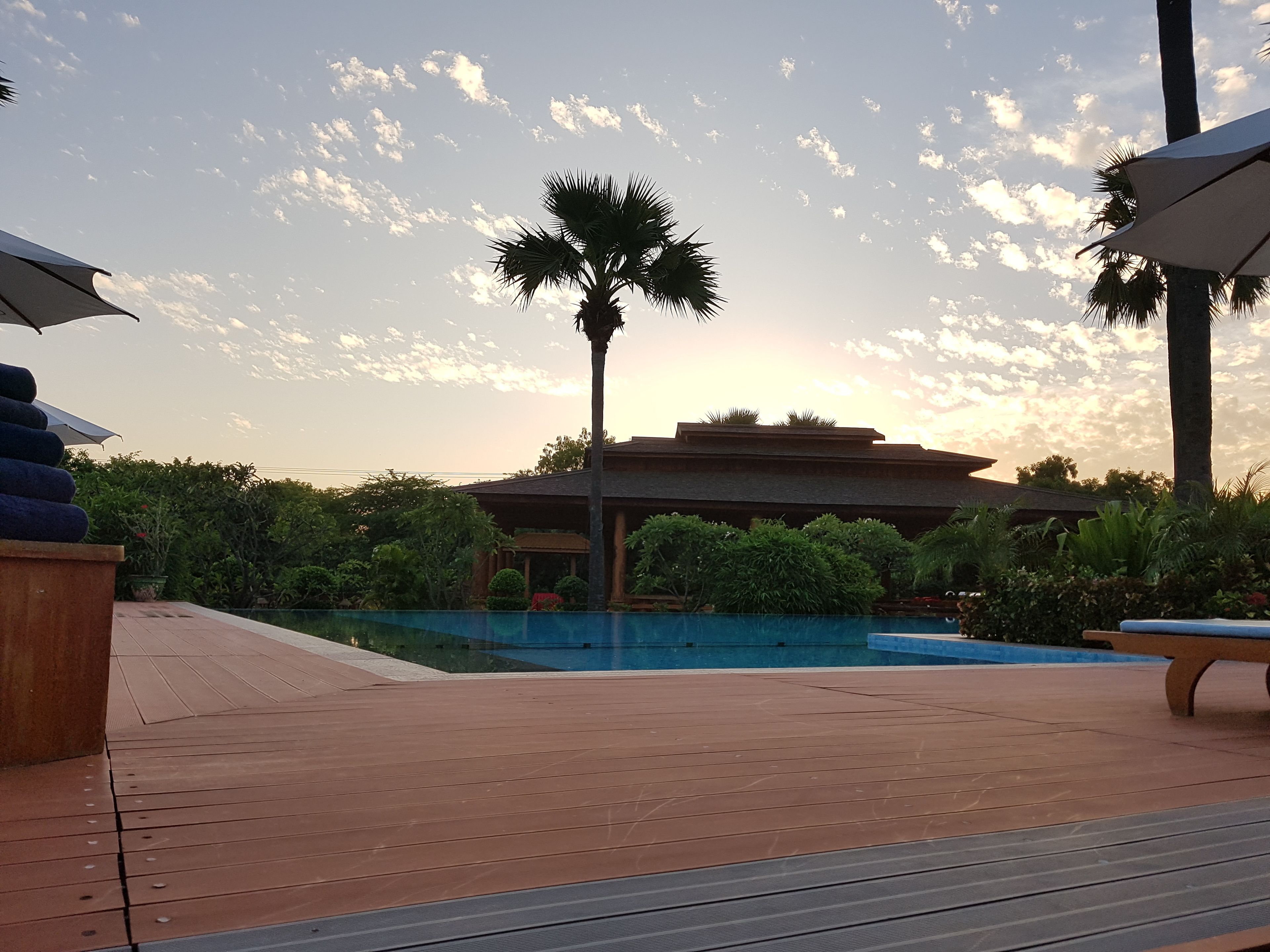 A poolside area with a palm tree, a building in the background, and a wooden deck.