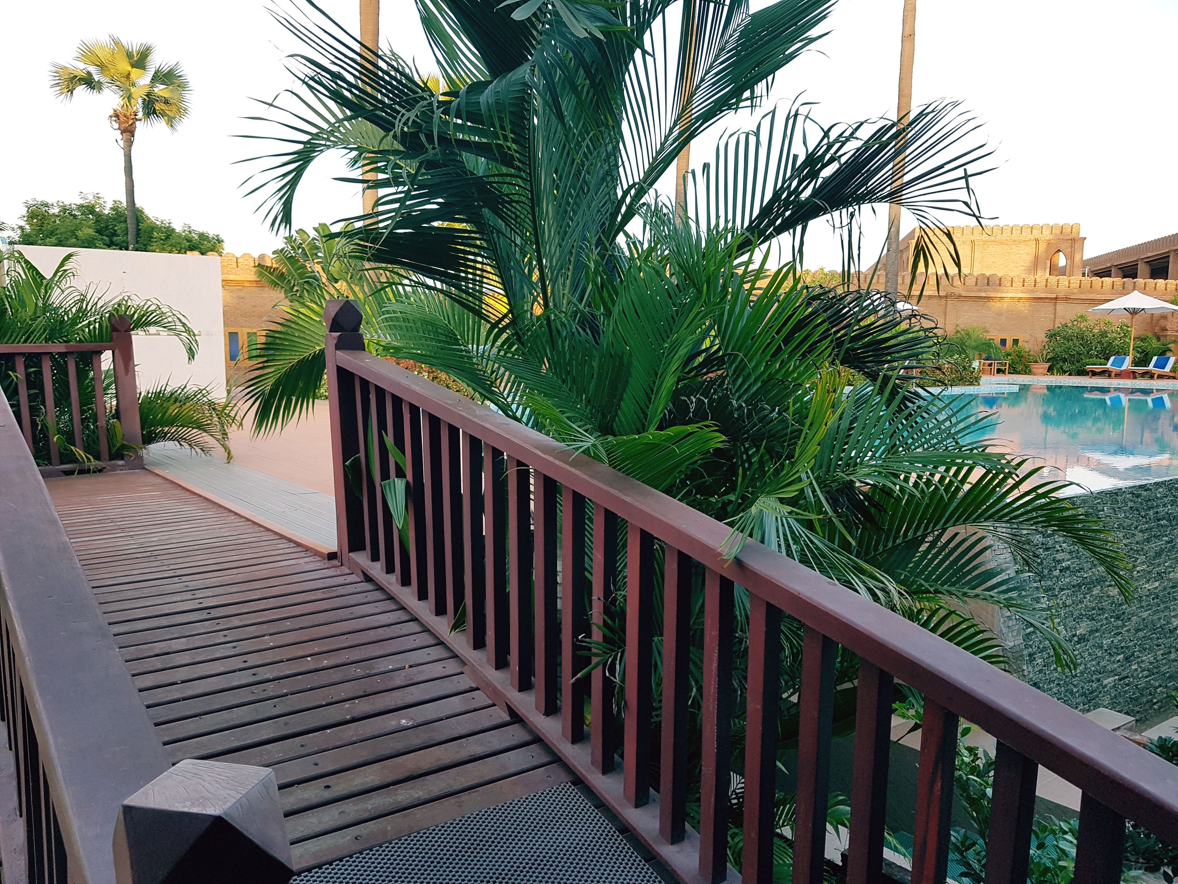 Una terraza de madera con una banda de seguridad metálica, rodeada de exuberantes palmeras verdes y una piscina con tumbonas.