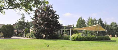 A grassy outdoor area with a large tree, a canopy structure, and a building in the background.