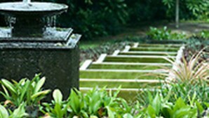Un jardín con una fuente de piedra, abundante vegetación y un sendero.