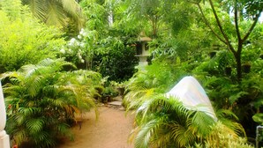 Un jardín exuberante con diversas plantas tropicales y un pequeño comedero para pájaros.