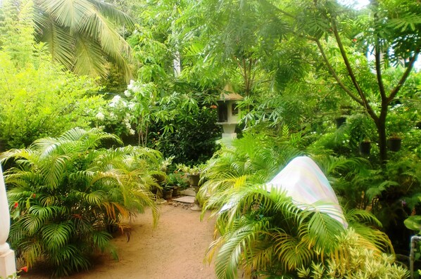Un jardin luxuriant, où poussent de nombreuses plantes tropicales, et un petit nichoir.