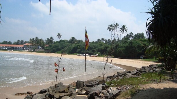 Una playa con costa rocosa, palmeras e izado con una bandera.
