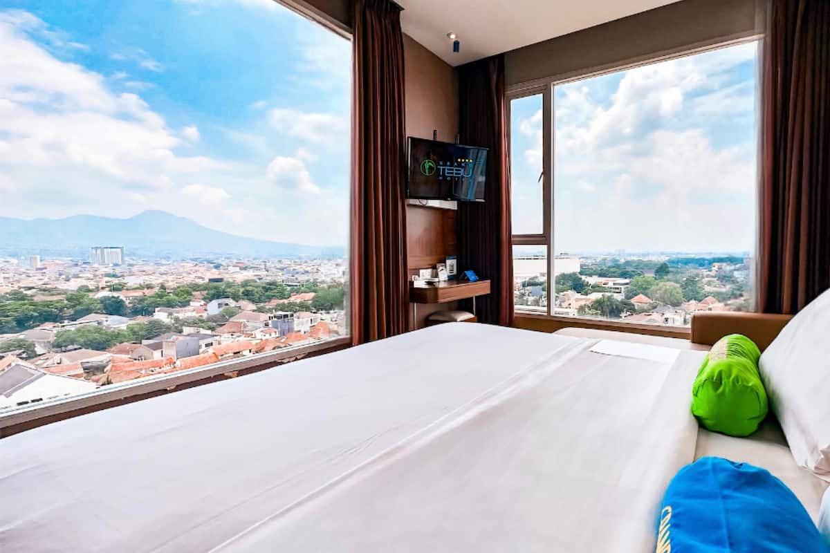 A hotel room with a large bed, a television, and a view of a cityscape.