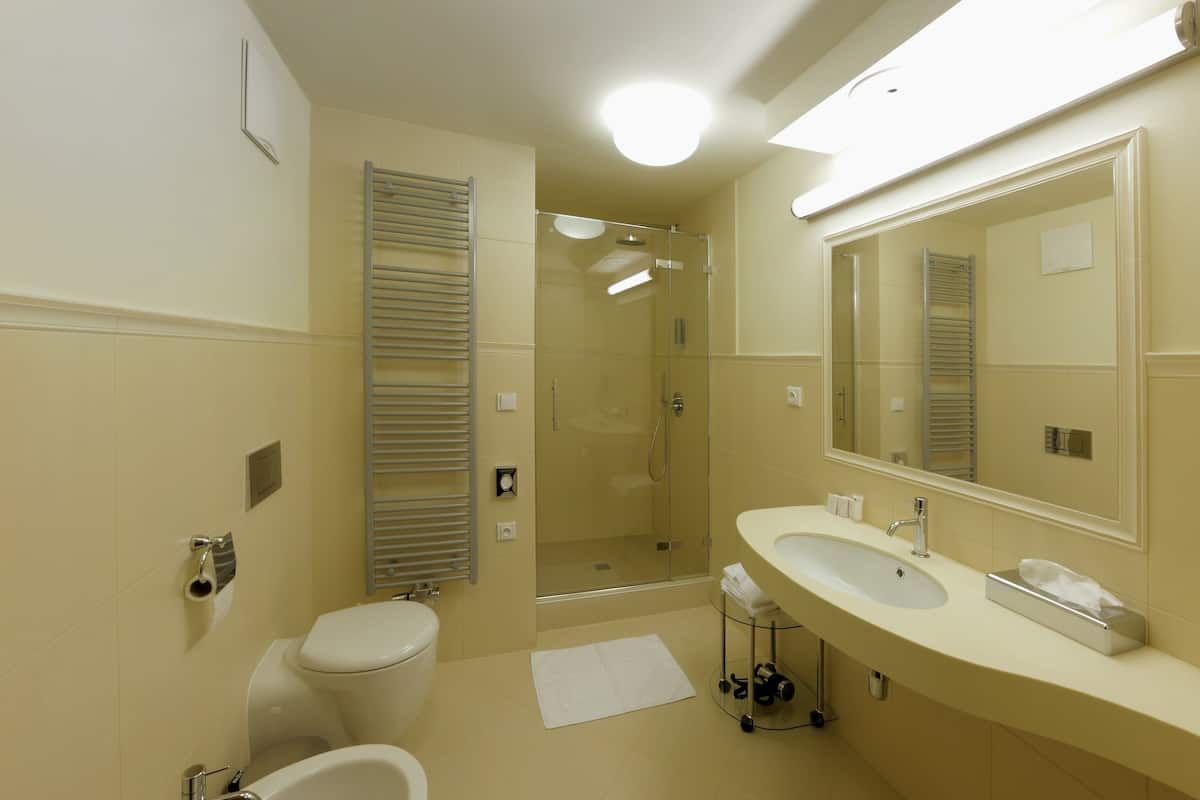 shower, hair dryer, bathrobes, slippers