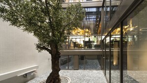 Ein moderner Innenraum mit einem großen Baum in einem runden Pflanzgefäß, Glaswänden und einem spiegelnden Boden.