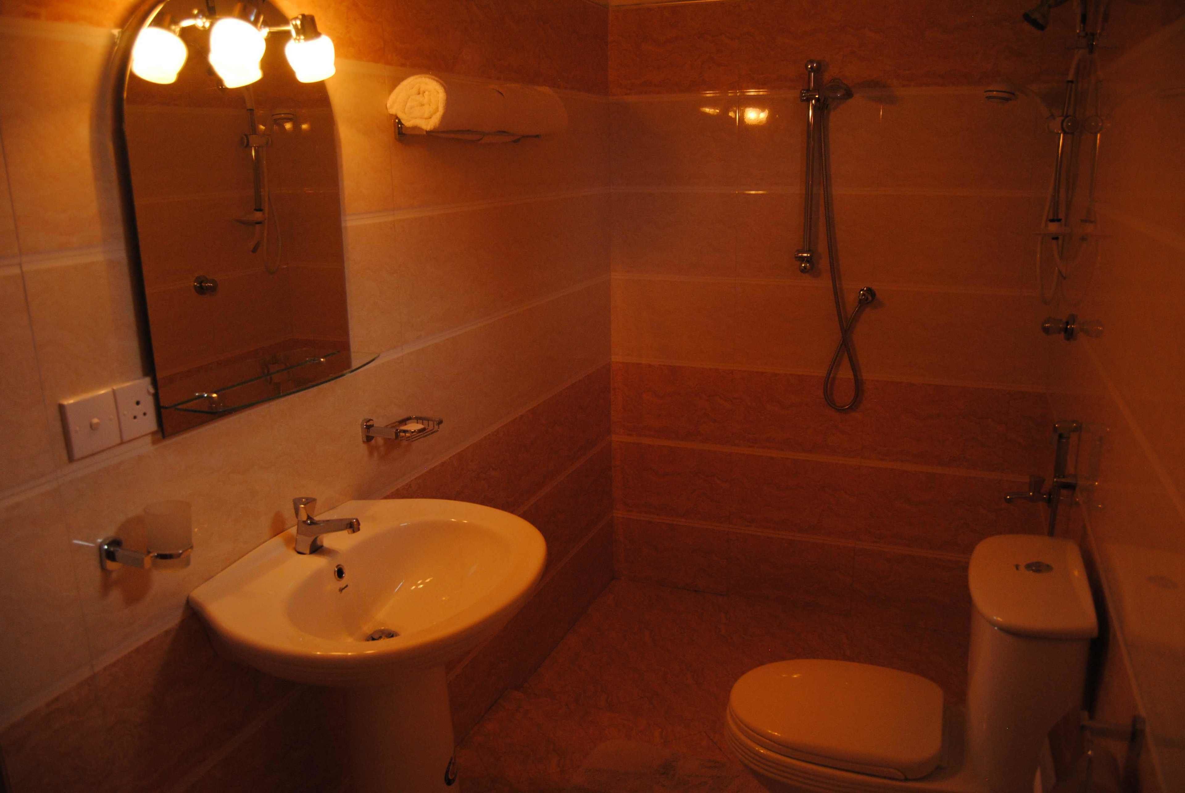 Une salle de bain avec un lavabo, des toilettes et une douche.