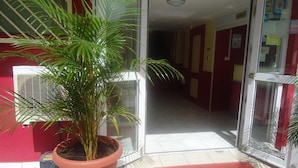 A hotel entrance with a red doormat, a potted plant, and a glass door leading inside. - Hotel Du Centre (Saint-Denis)
