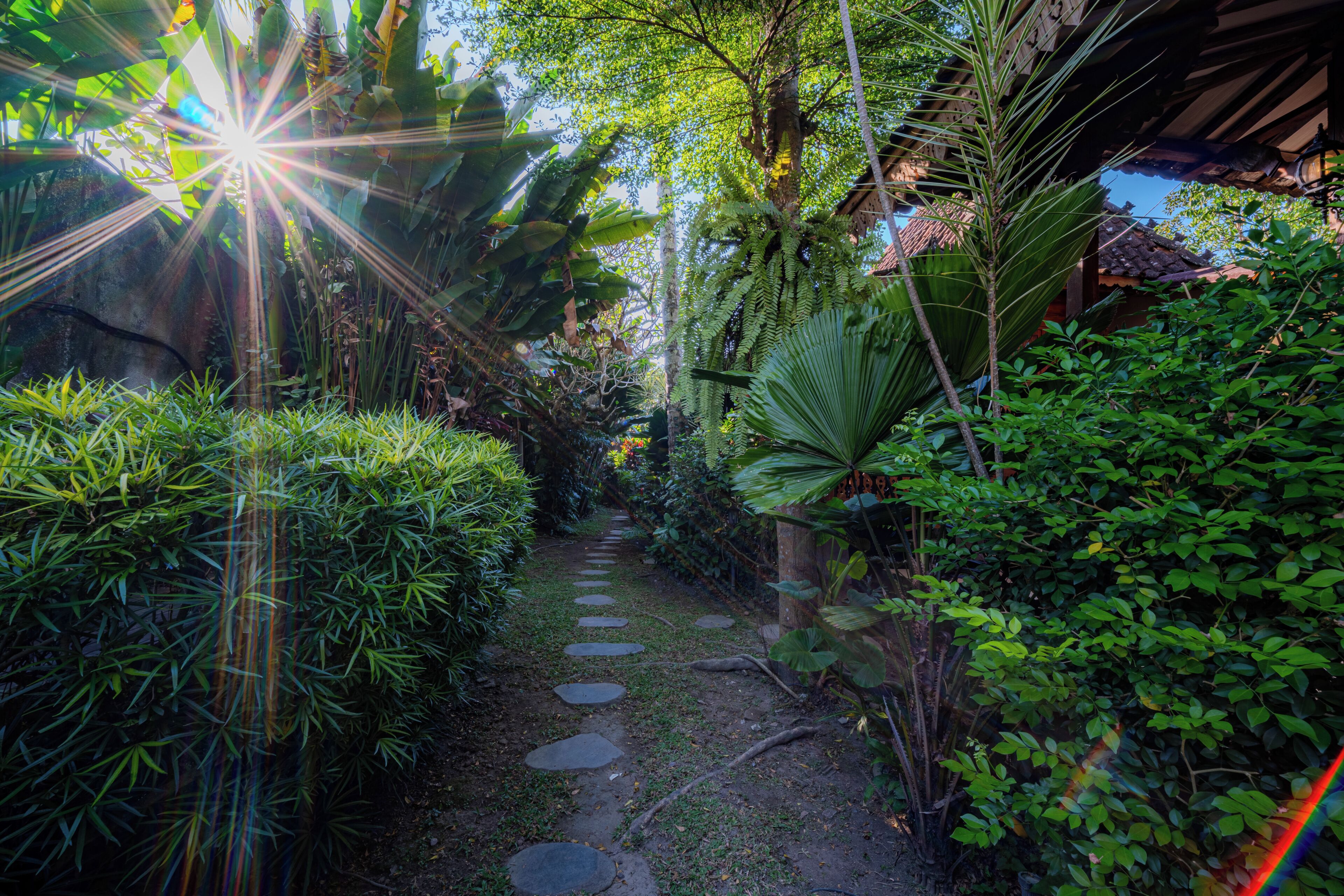 Un sendero de jardín con piedras, rodeado de exuberante follaje y una estructura de madera al fondo.