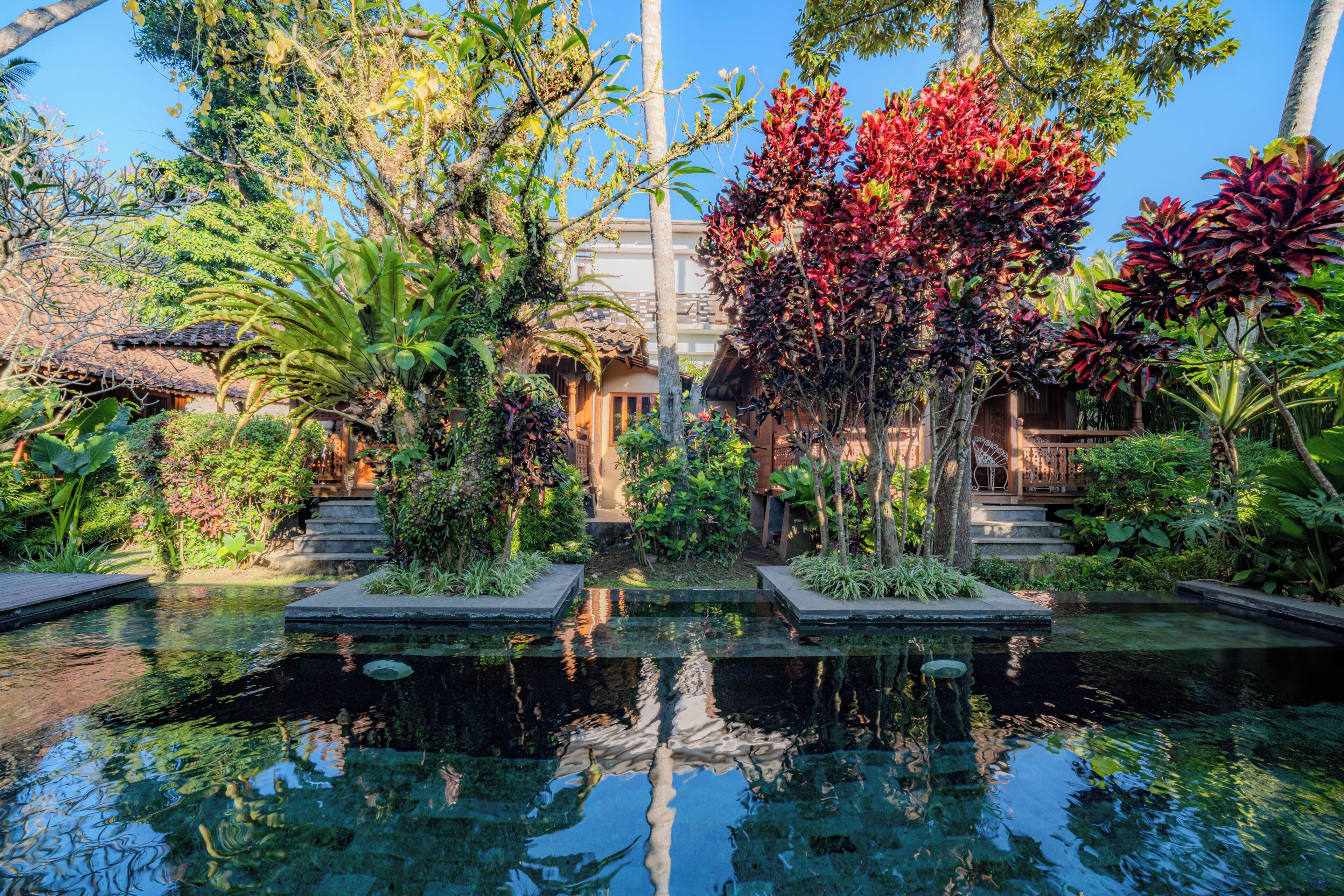 A serene garden with a clear pool, lush greenery, and a traditional building with a thatched roof.