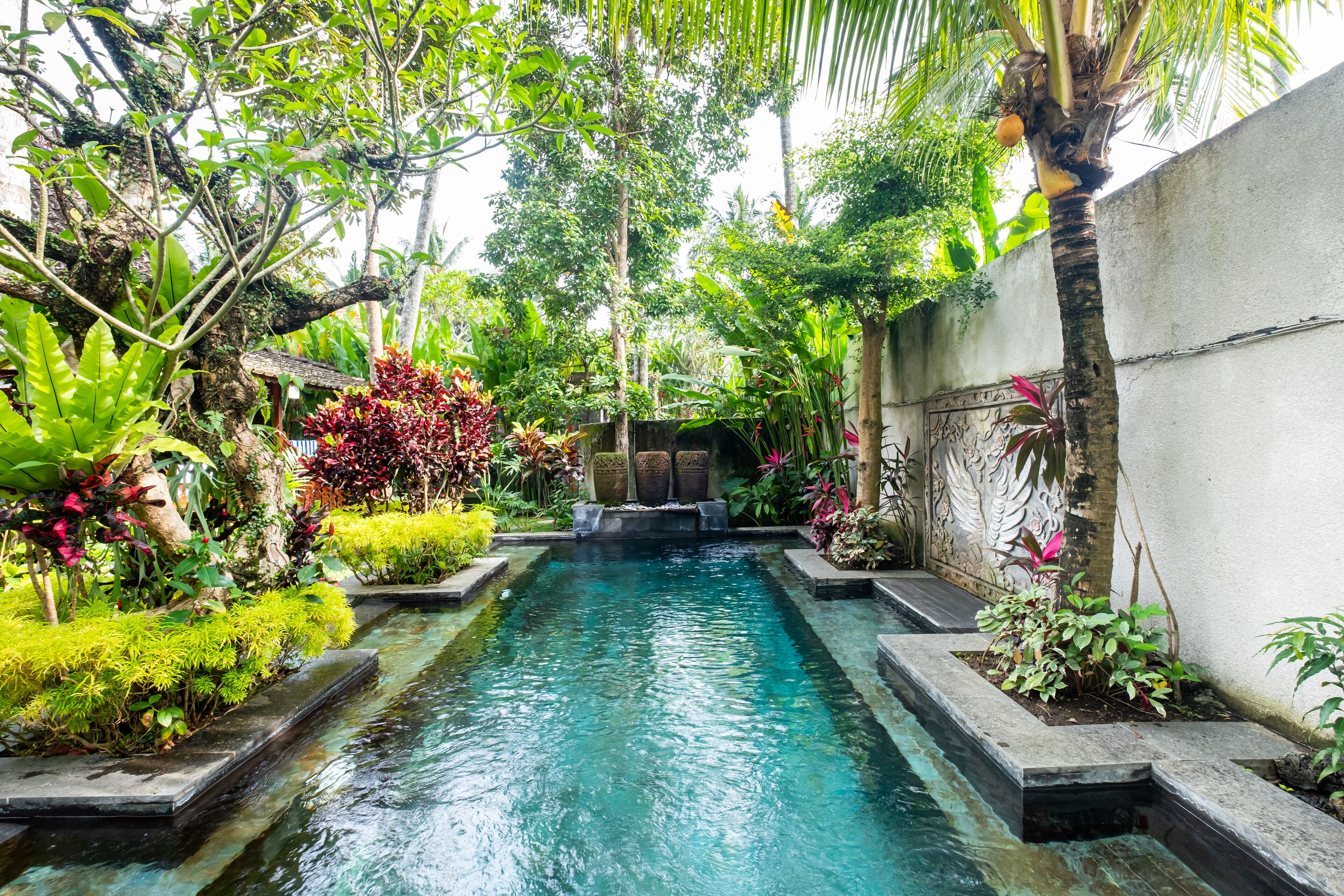 Piscina externa, espreguiçadeiras