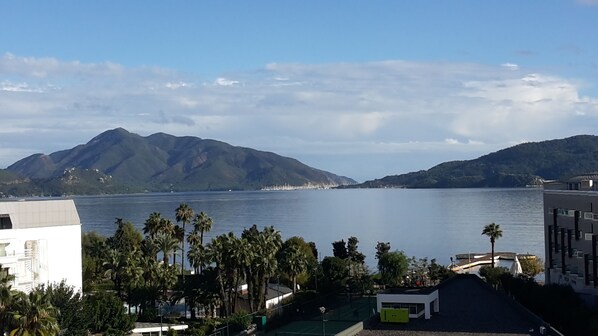 Pemandangan dari hartanah