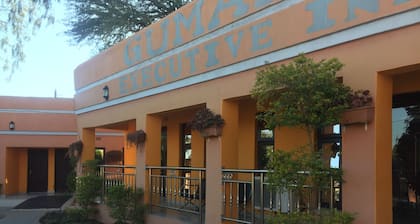 Gumare Executive Lodge