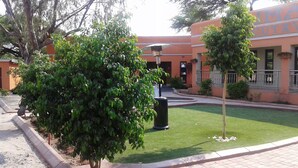 Un patio con un césped cuidado, un árbol grande y un edificio con un cartel que dice "JUMACUTIVE".