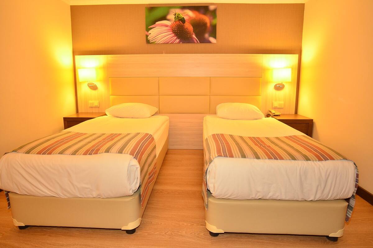 Una habitación de hotel con dos camas individuales, cabeceros de madera y lámparas de noche.