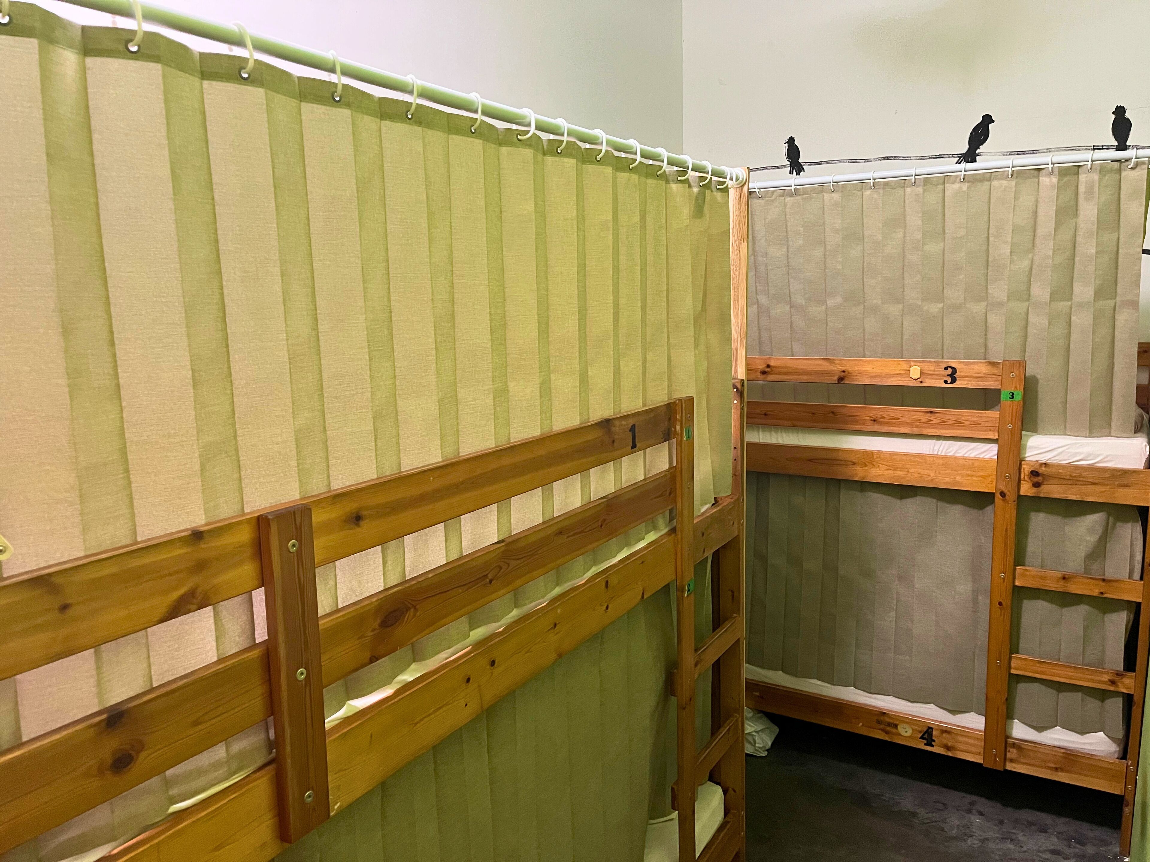 4 Bed Female Dorm | Laptop workspace, iron/ironing board, free WiFi