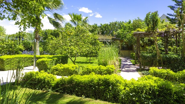 Un jardin bien entretenu, agrémenté de divers arbres et arbustes, d’une pergola et d’un chemin bien dégagé.