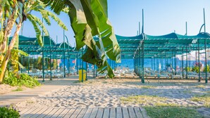 Une plage avec une promenade en bois, un espace de repos abrité et un grand bananier.