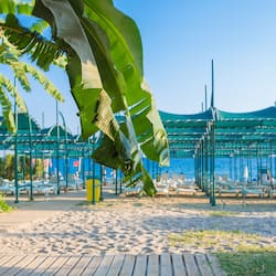 Aan een privéstrand, ligstoelen, parasols, beachvolleybal