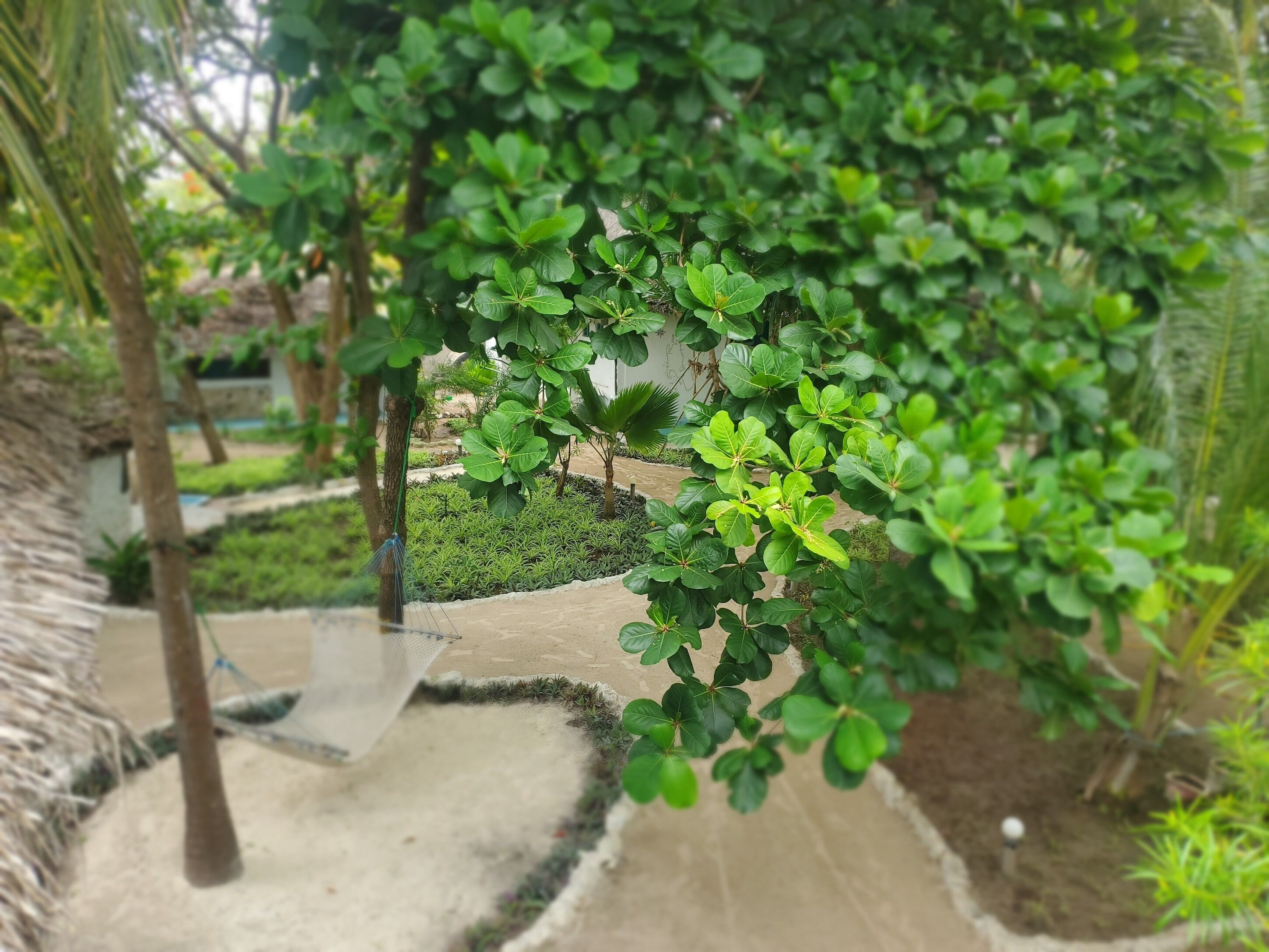 Jardín