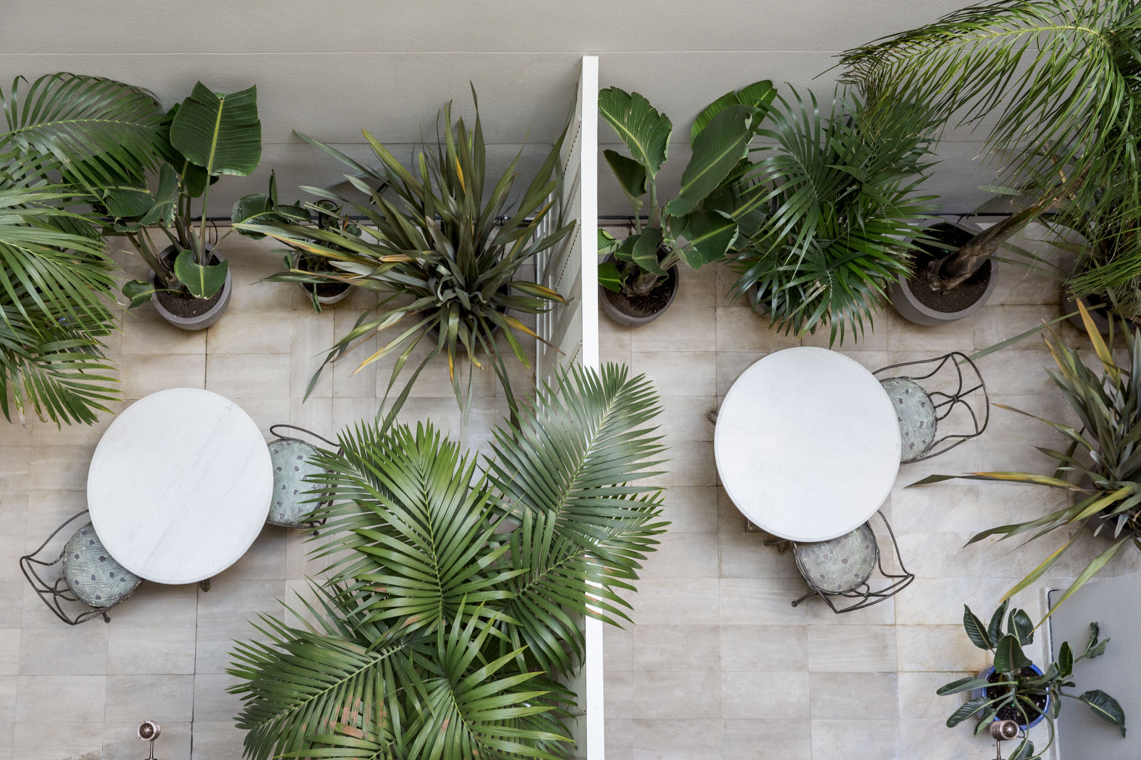 Photo - Hotel Midmost by Majestic Hotel Group