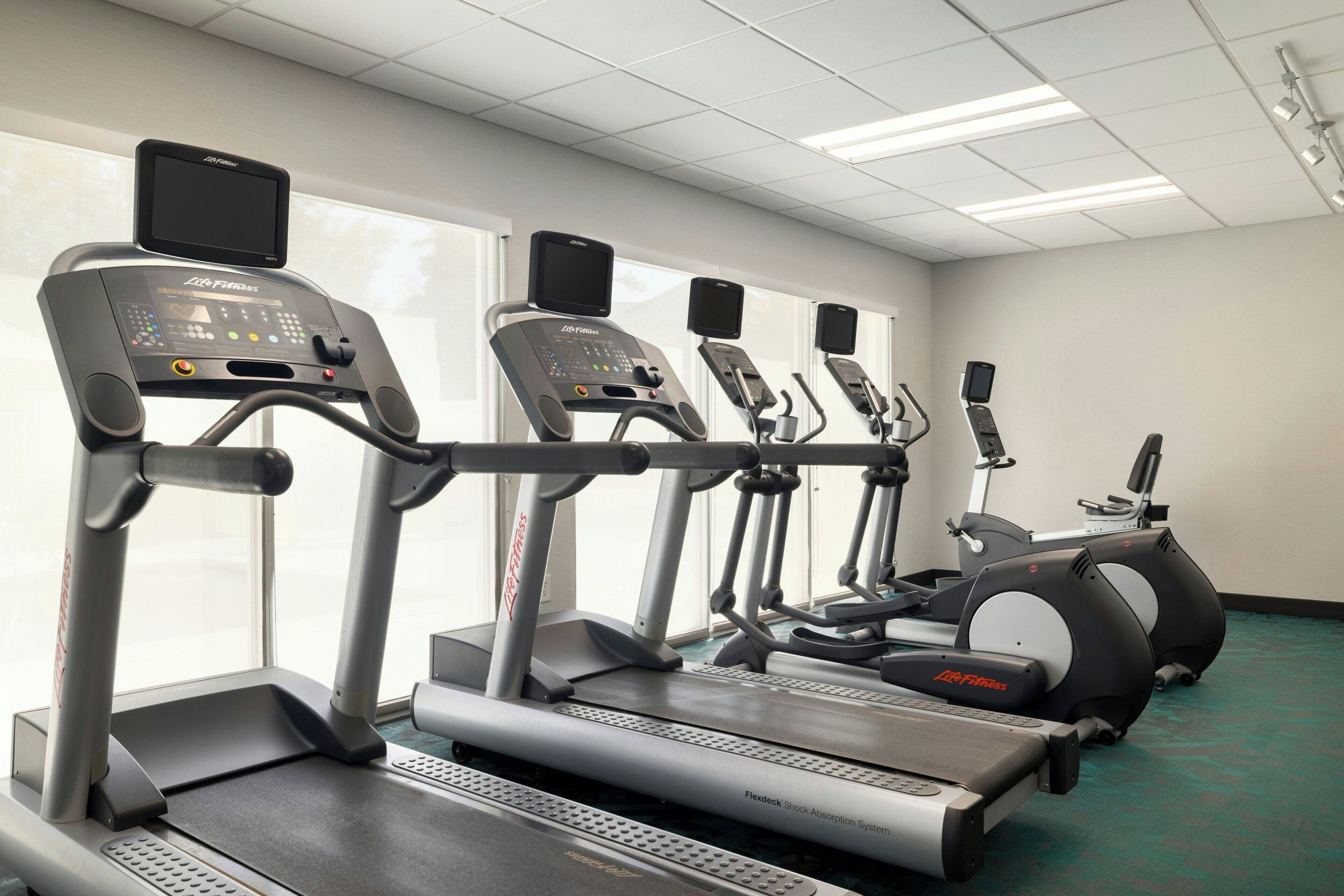 A row of treadmills in a gym with a green carpet and large windows.