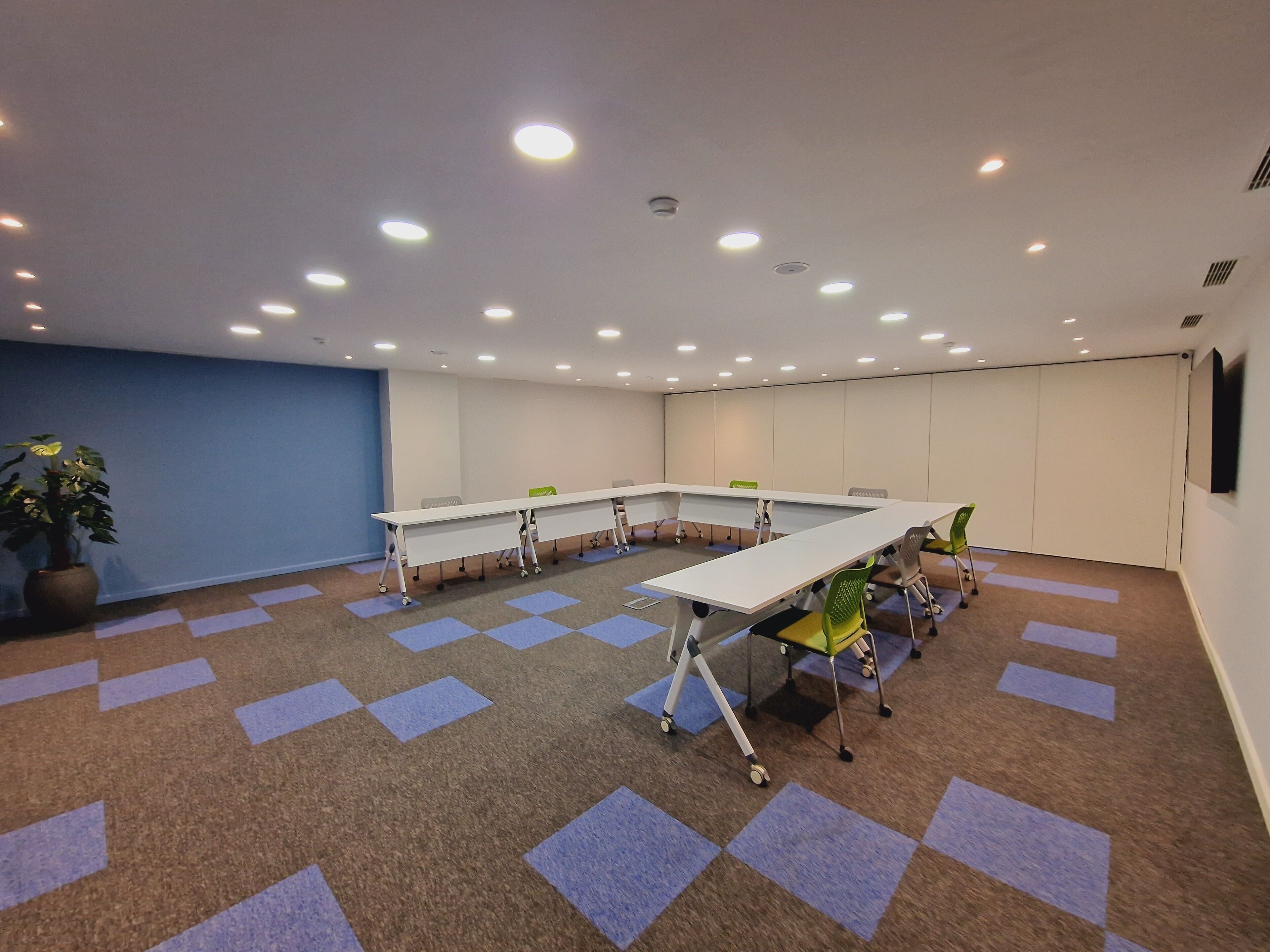 A conference room with a long table, chairs, and a potted plant.