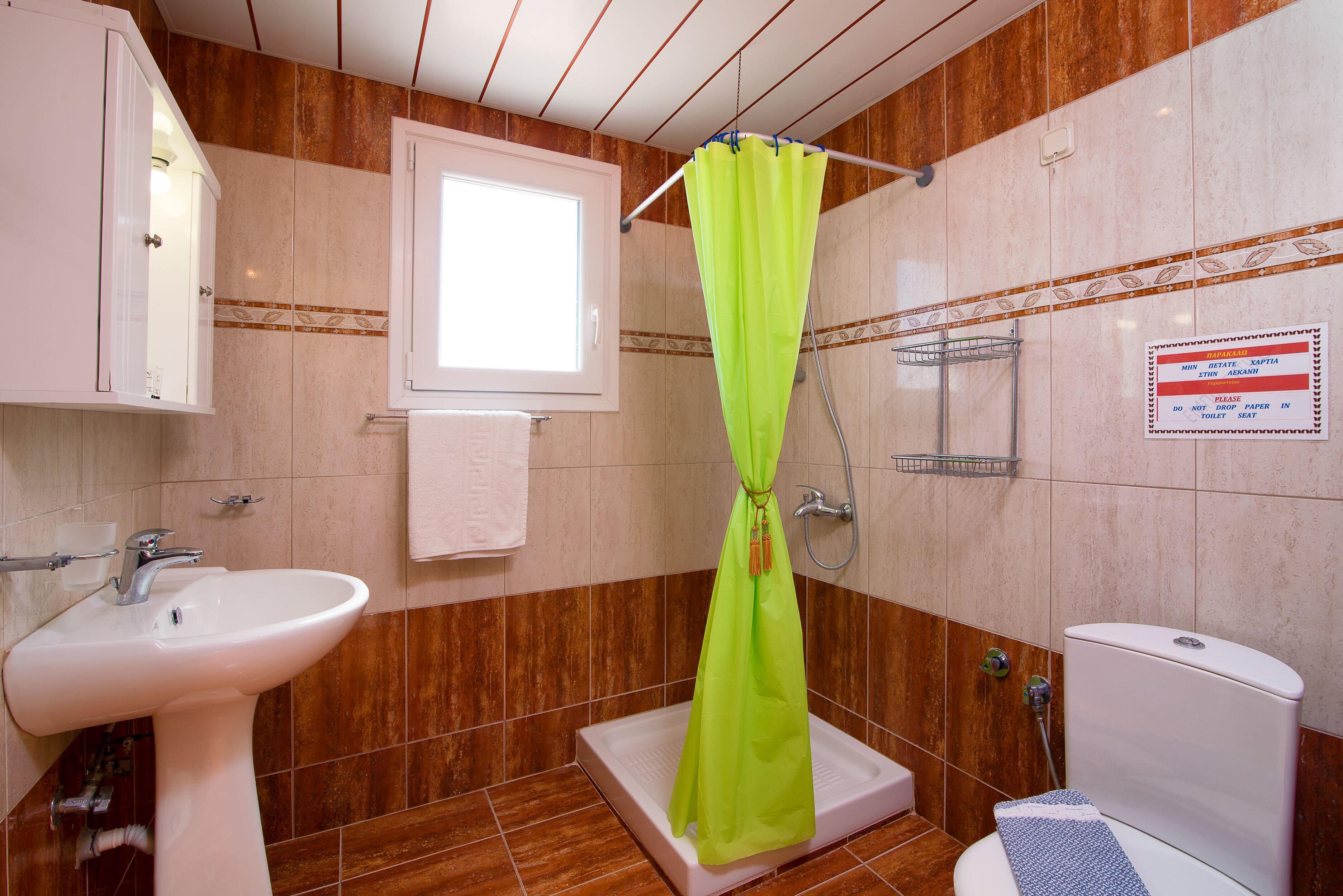 Ein Badezimmer mit Waschbecken, Toilette und Dusche.