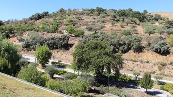 A hillside with sparse vegetation and a few trees.