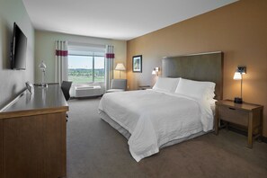 Room, 1 King Bed
